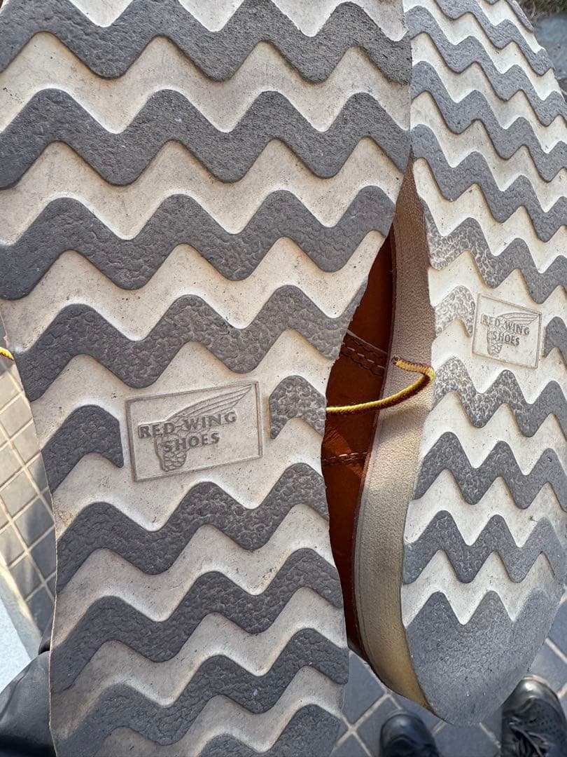 レッドウイング8D 9871 ゴールドラセット アイリッシュセッター