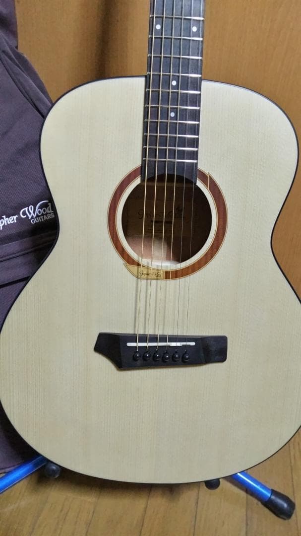 ❤️弦高調整済！「Gopher ゴフェル I110SX 」サウンドピラー内蔵！