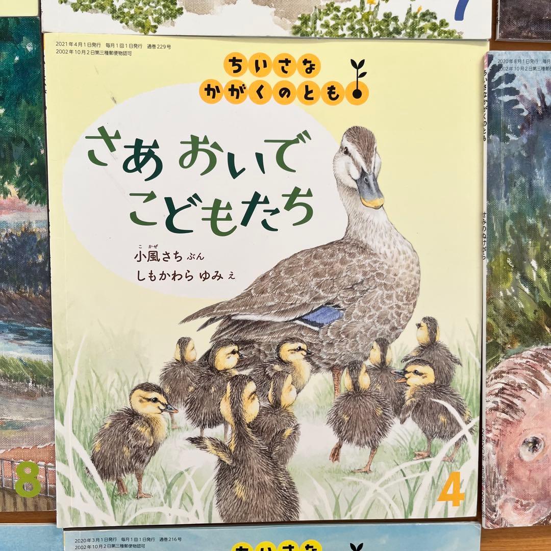 【31さま】106冊　ちいさなかがくのとも　こどものくに　など　福音館書店